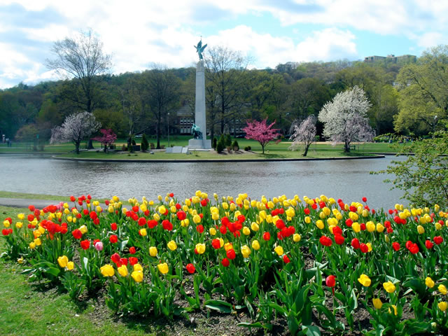 Tulips blooming at Edgemont Memorial Park - #MayInMontclair